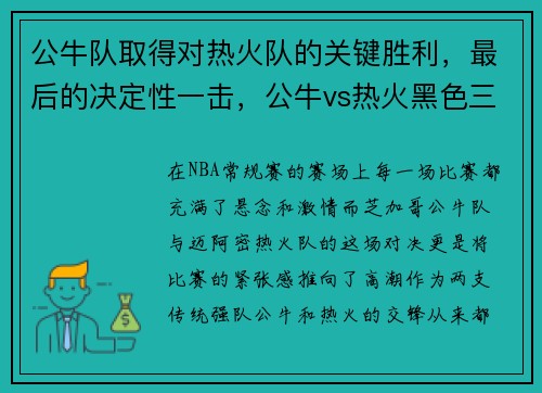 公牛队取得对热火队的关键胜利，最后的决定性一击，公牛vs热火黑色三分钟